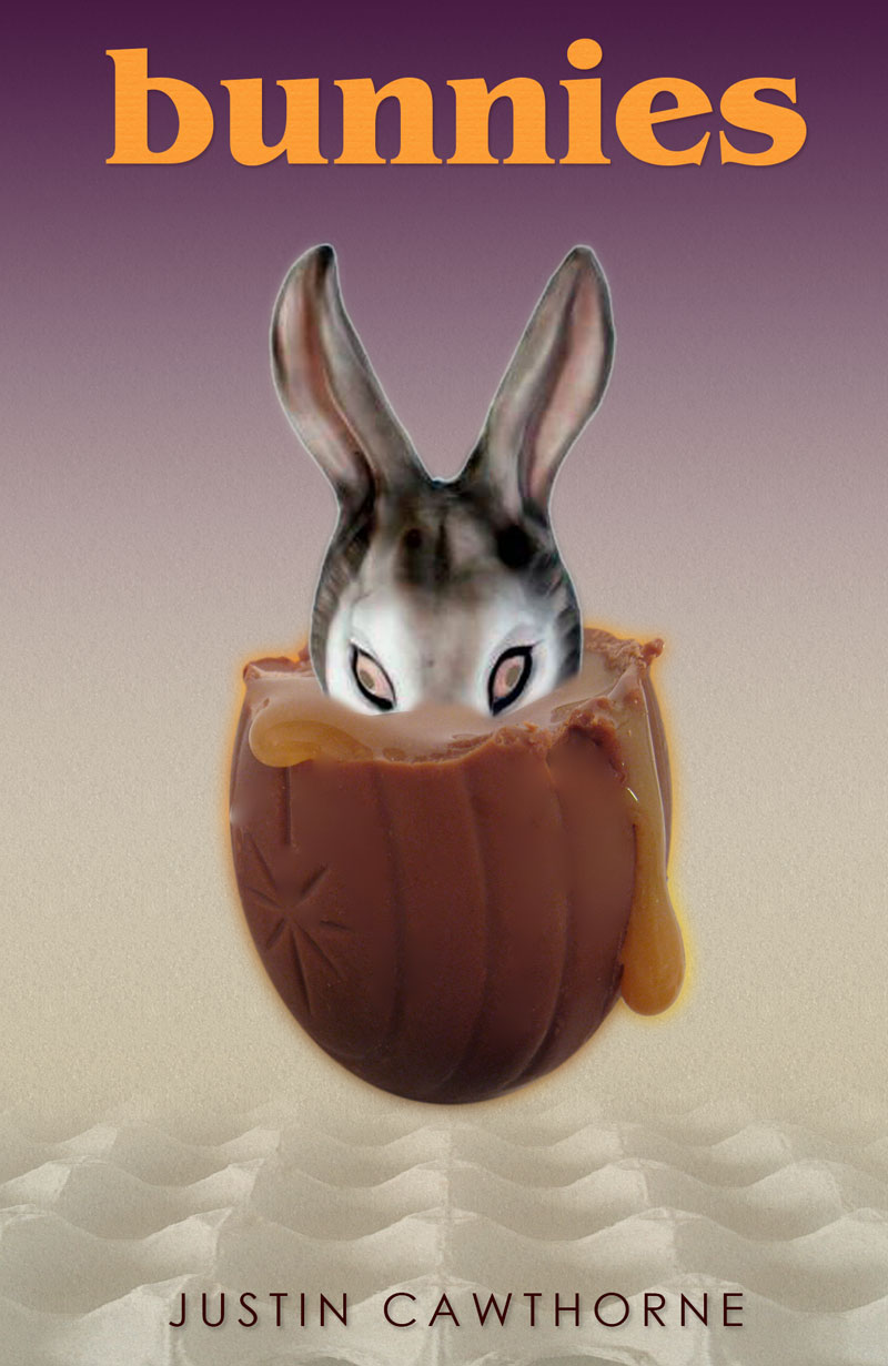 cover for story Bunnies