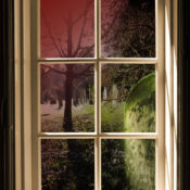 cover for story Graves