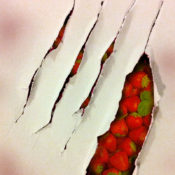 cover for story Strawberries