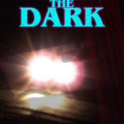 Race The Dark cover