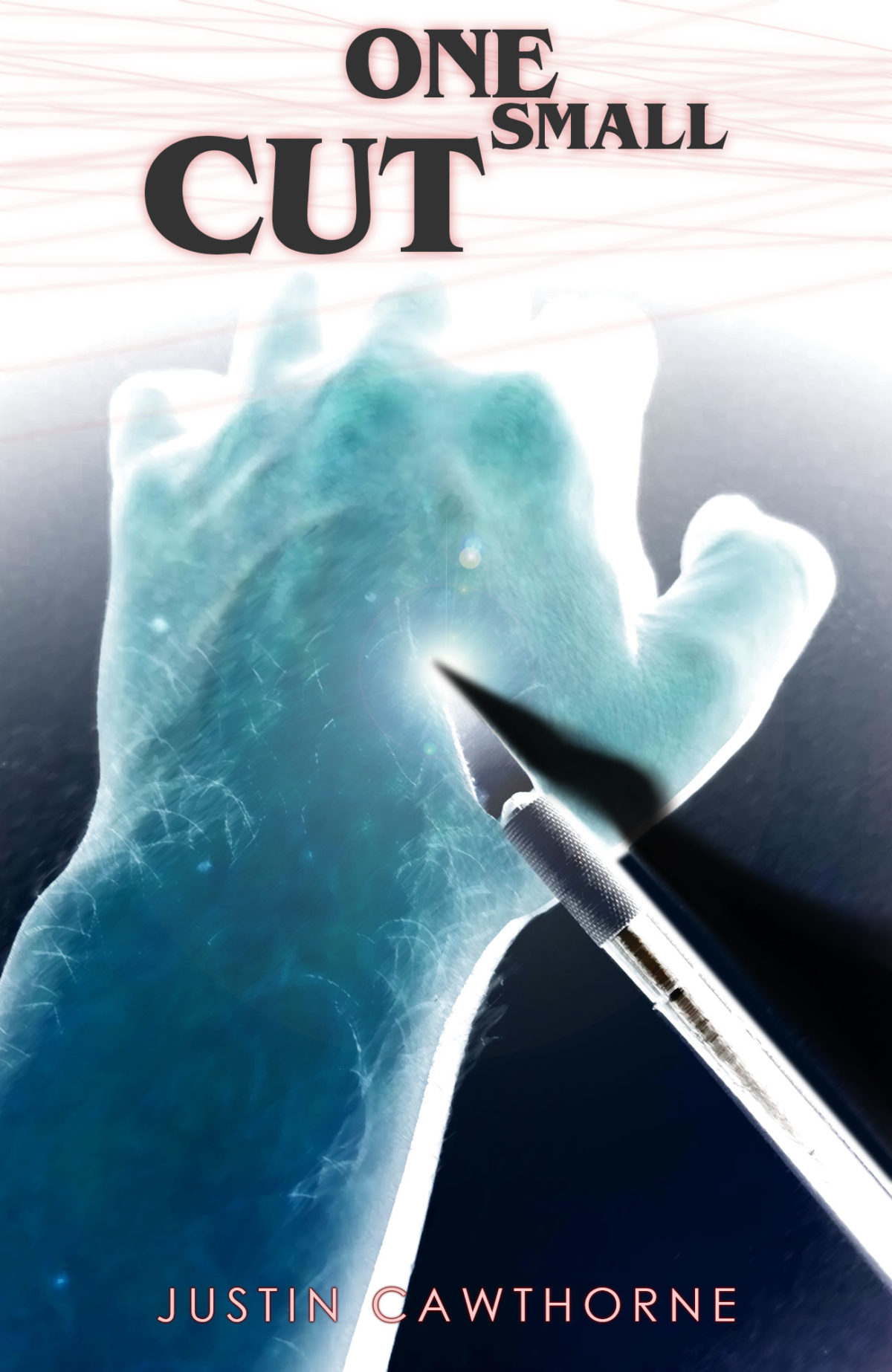 cover for One Small Cut