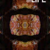 Imitations of life short story cover