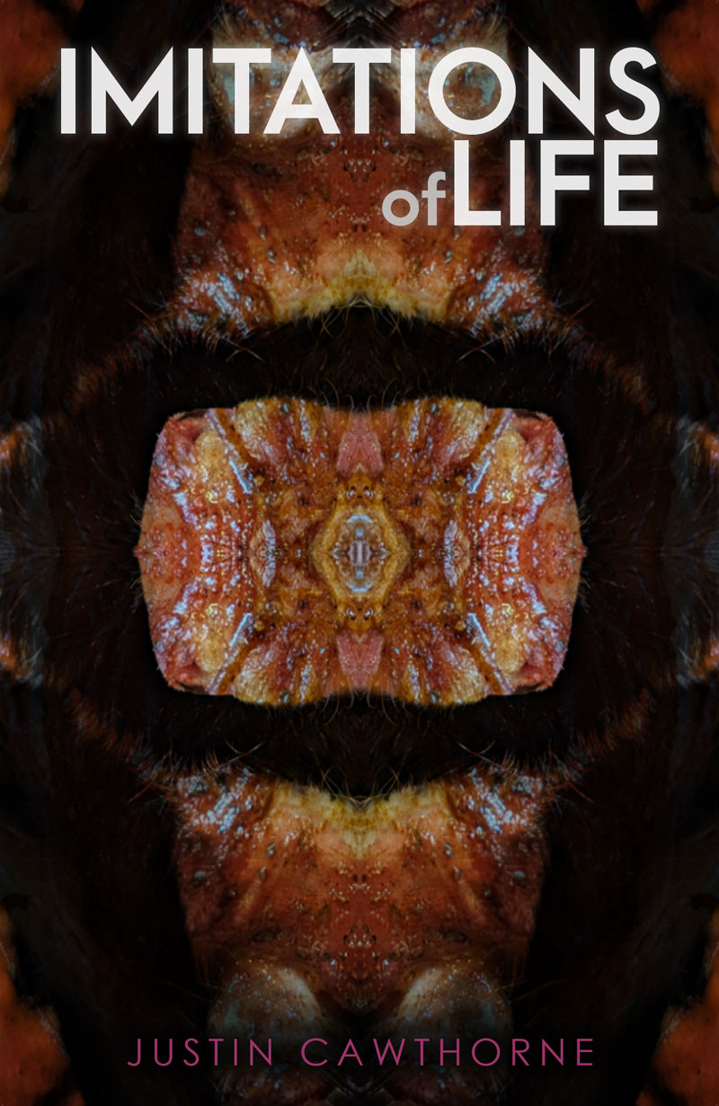 Imitations of life short story cover